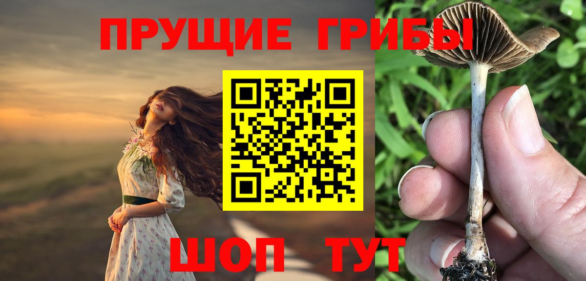 Псилоцибиновые грибы мицелий Нижний Новгород